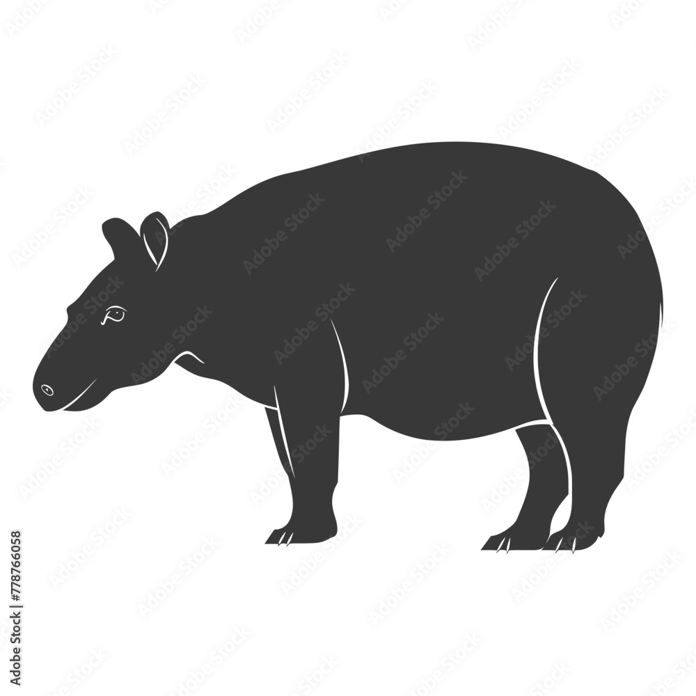 Obraz premium Silhouette tapir animal black color only