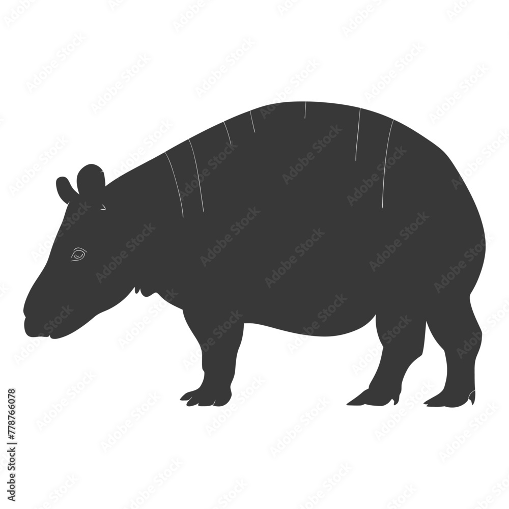 Obraz premium Silhouette tapir animal black color only