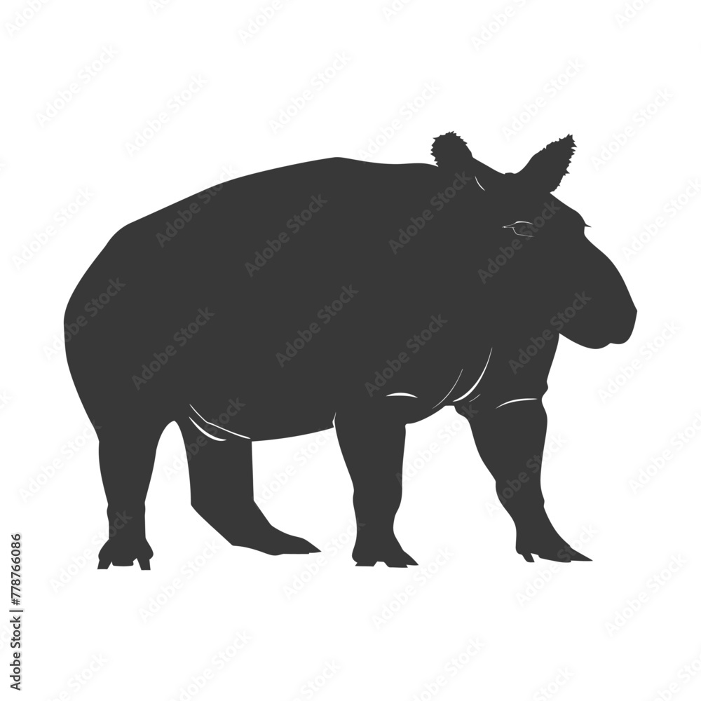 Obraz premium Silhouette tapir animal black color only