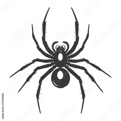 Silhouette spider animal black color only