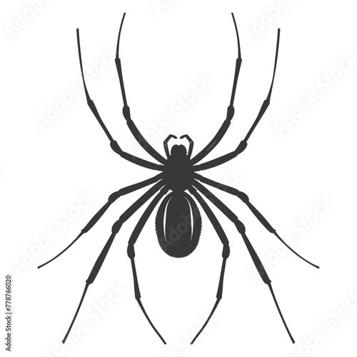 Silhouette spider animal black color only © NikahGeh