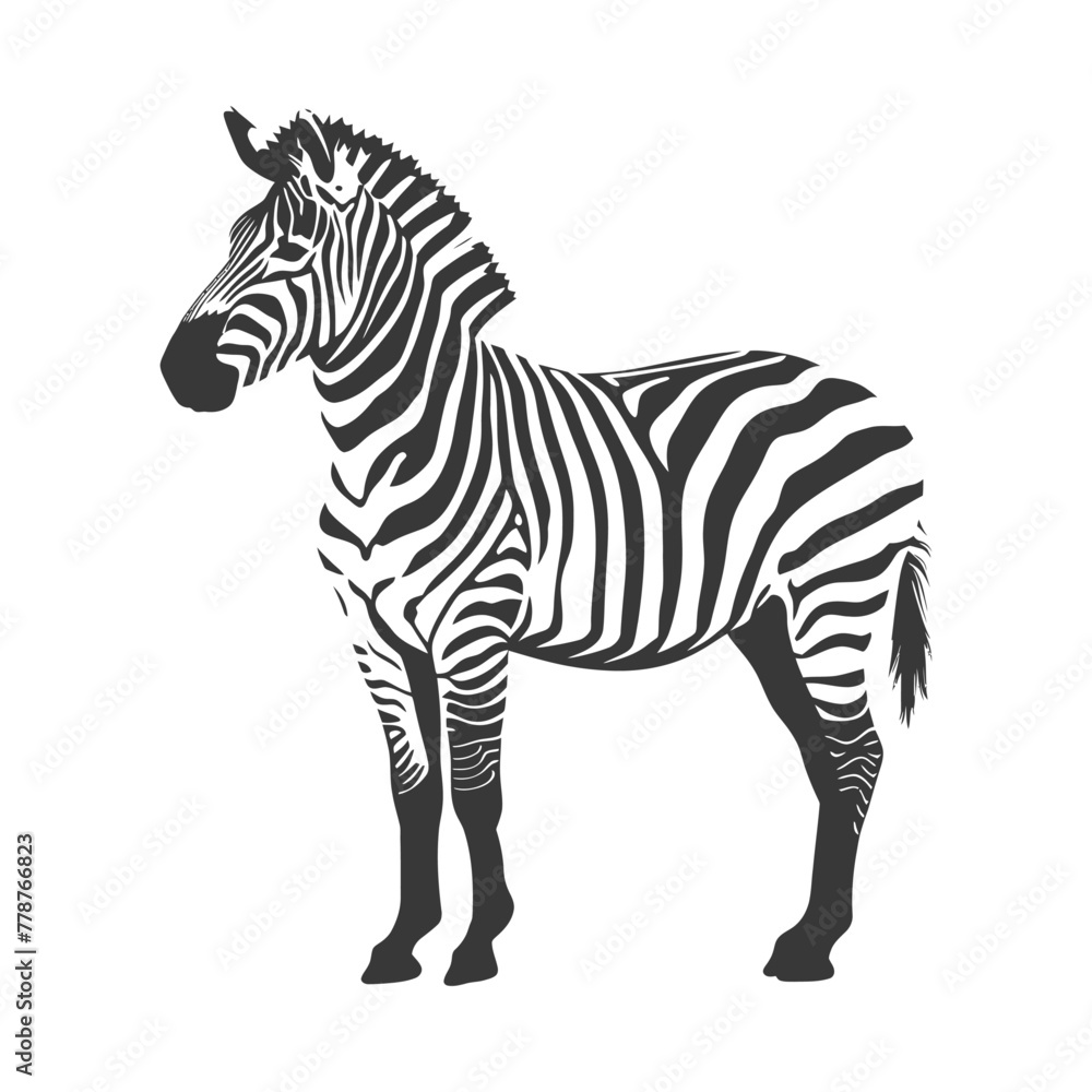 Fototapeta premium Silhouette zebra animal black color only