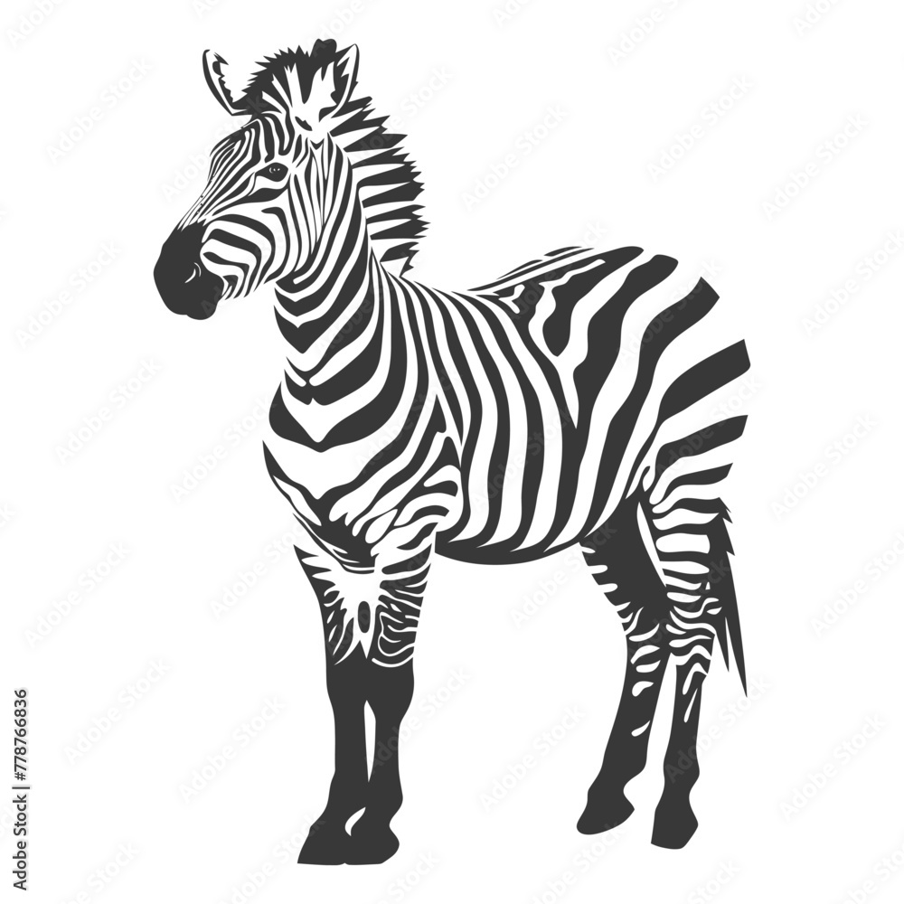 Silhouette zebra animal black color only