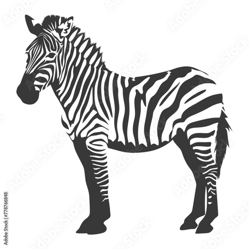 Silhouette zebra animal black color only