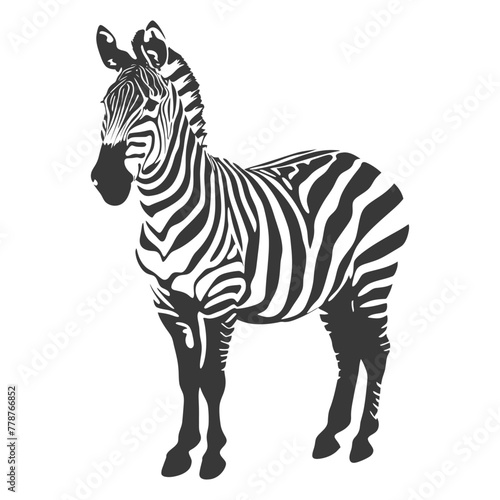 Silhouette zebra animal black color only