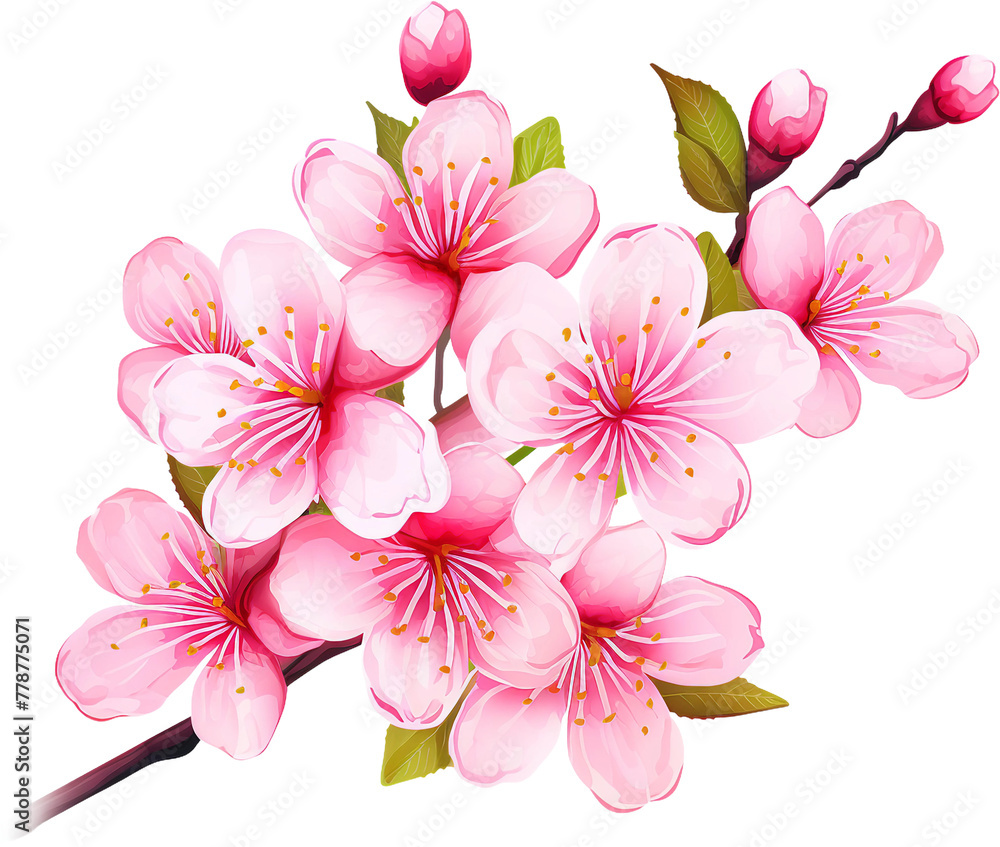 Close-up of Pink Cherry Blossom Branch in Full Bloom
Close-up of Pink Cherry Blossom Branch in Full Bloom