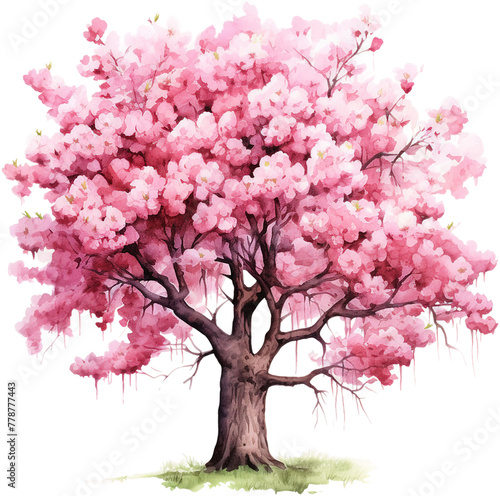 Ethereal Cherry Blossom Tree in Full Bloom Watercolor  © Md Shahjahan
