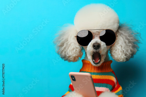 Shocked poodle dog in sunglasses holding smartphone on color background © Anna