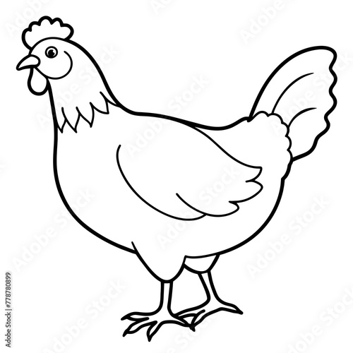    chicken vector illustration with line art.
