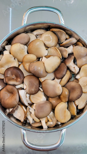 There is a large number of oyster mushrooms in the pan in close-up