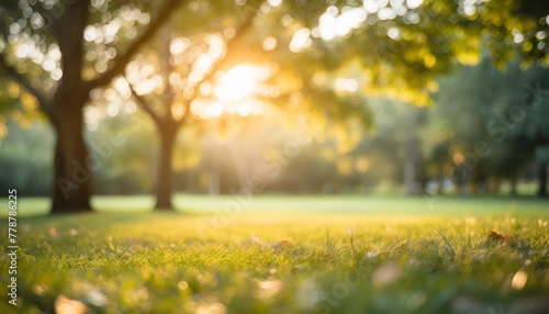 blur green bokeh lush garden park outdoor in nature abstract background