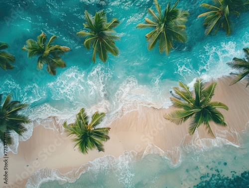Hawaiian beach  turquoise water and palm trees Tropical and Relaxing Drone Aerial   8K Quality Warm Tones   Crystal Clear Waters