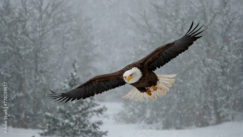 An eagle is flying in the snow.

