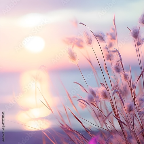 Little grass stem closeup with sunset over calm sea 