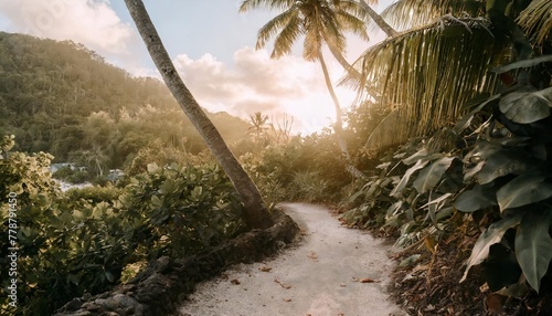 path in a tropical jungle in seychelles