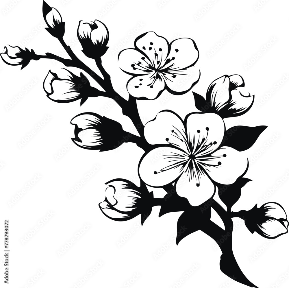 Obraz premium Flower Sakura, Japanese Cherry blossom vector illustration