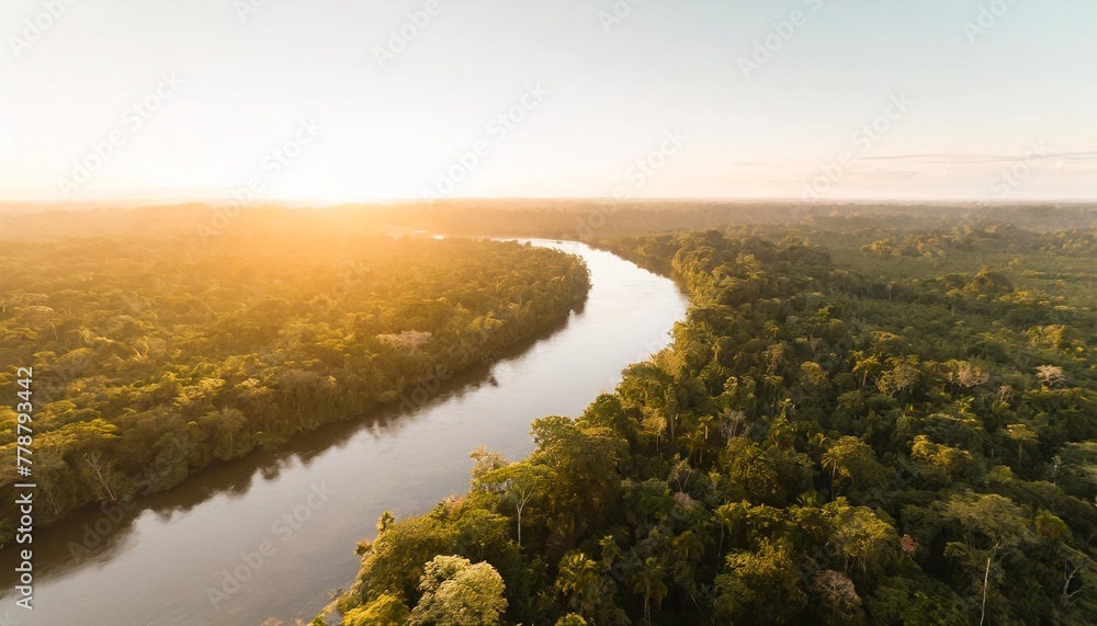 generative ai green beautiful amazonian jungle landscape with trees and river drone view