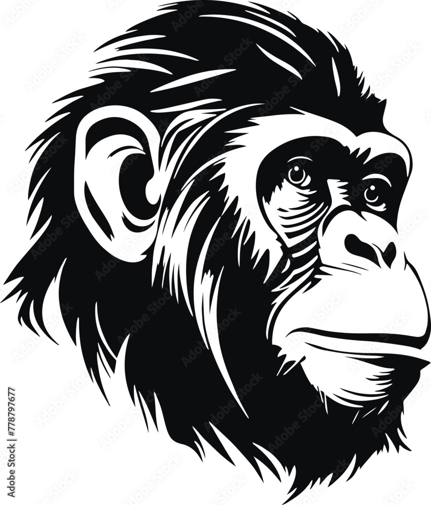 Monkey head, monkey face vector Illustration, on a isolated background, Monkey head, monkey face vector Illustration, on a isolated background,