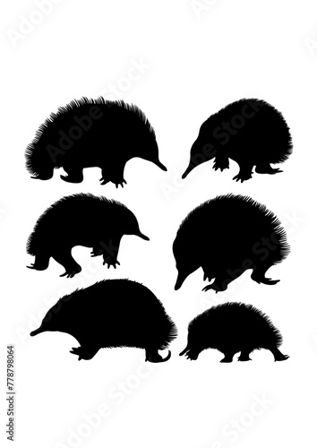 Echidna mammal animal silhouettes