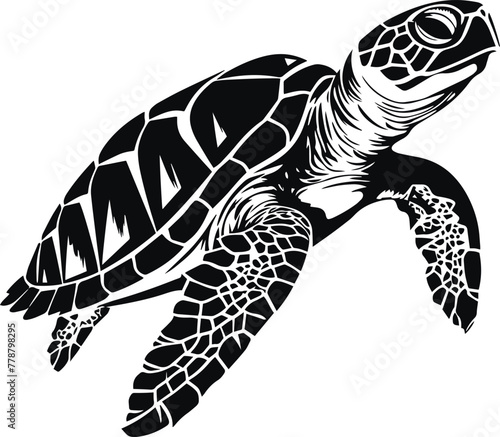 Turtle, Turtle silhouette of a isolated on a white background, Vector illustration	