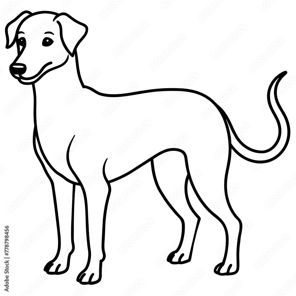 Dog vector illustration with line art.
Dog vector illustration with line art.