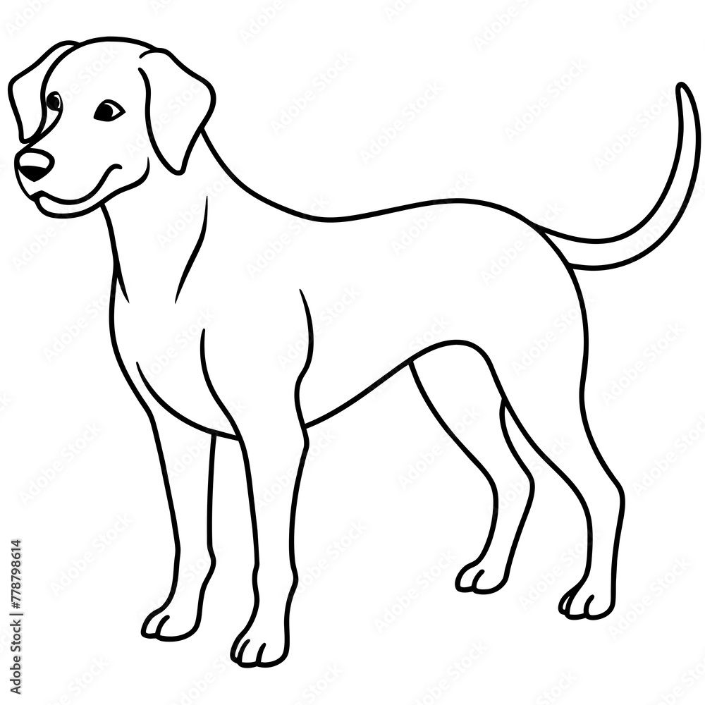Dog vector illustration with line art.
Dog vector illustration with line art.