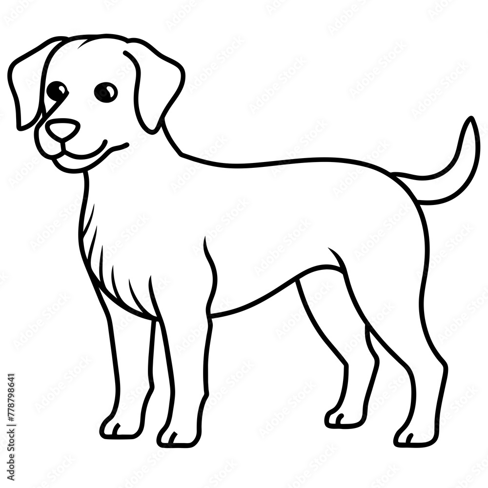 Dog vector illustration with line art.
Dog vector illustration with line art.