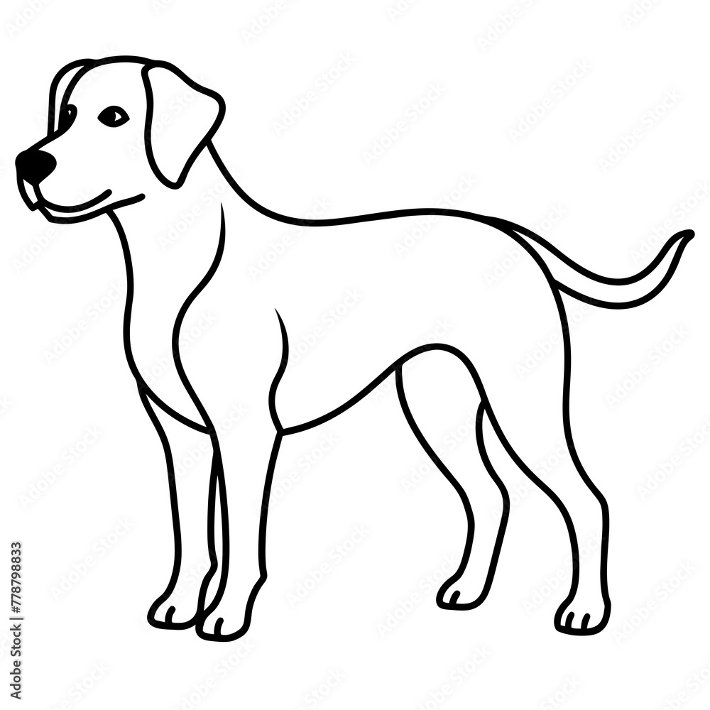 Fototapeta premium Dog vector illustration with line art. 
