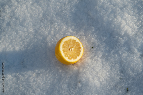 lemon in the snow
