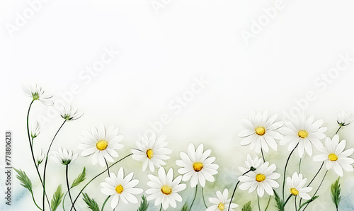 Watercolor White Daisy Flowers Background with Copy Space