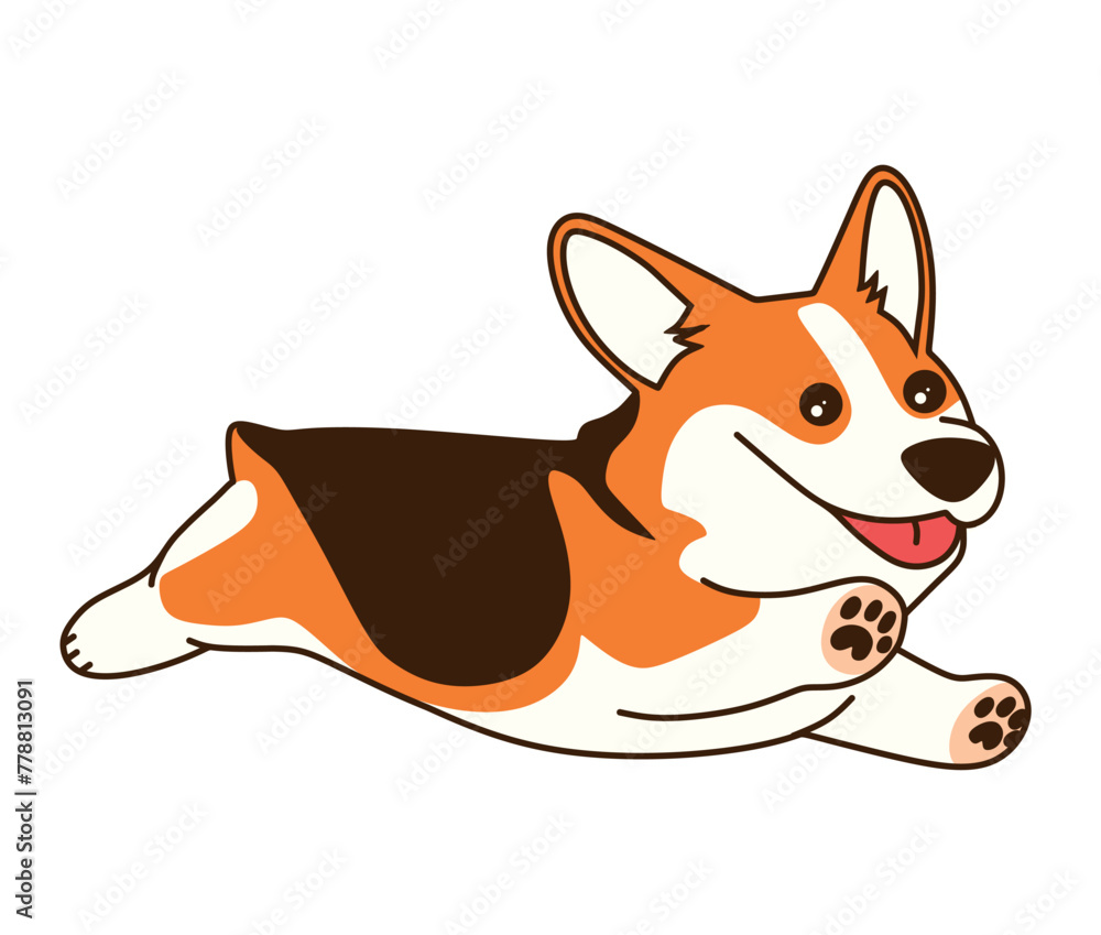 Obraz premium Cute Corgi running isolated on white background