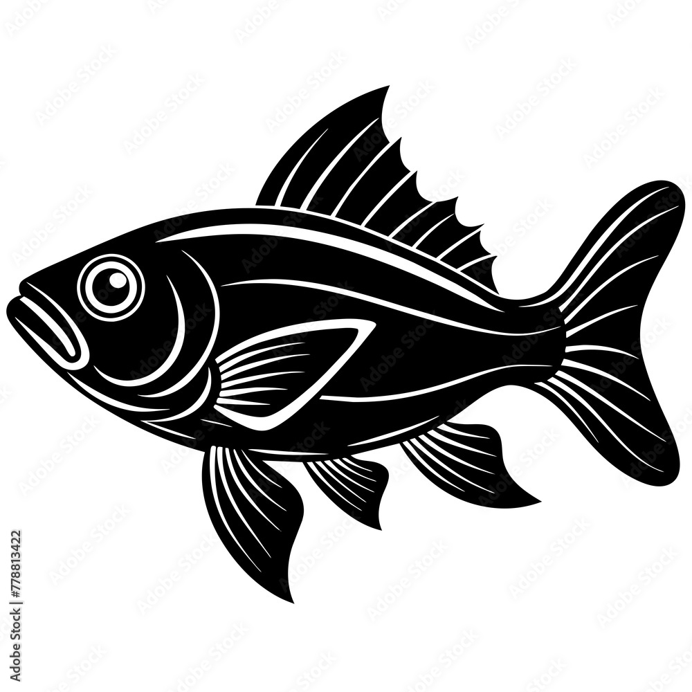 black and white fish, black fish, silhouette vector illustration,icon,svg,pet,goldfish characters,Holiday t shirt,Hand drawn trendy Vector illustration,fish on black background black and white fish, black fish, silhouette vector illustration,icon,svg,pet,goldfish characters,Holiday t shirt,Hand drawn trendy Vector illustration,fish on black background