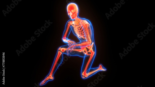 Human Skeleton System Bone Joints Anatomy © magicmine