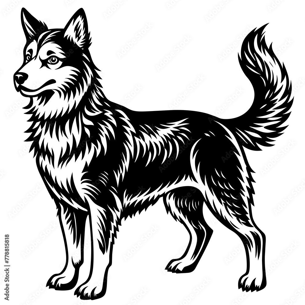 Dog silhouette vector illustration.
Dog silhouette vector illustration.