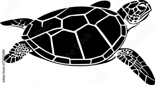 Series of illustrated Sea Turtles in black white for illustration, design, printing