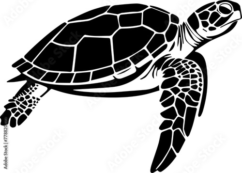 Series of illustrated Sea Turtles in black white for illustration, design, printing