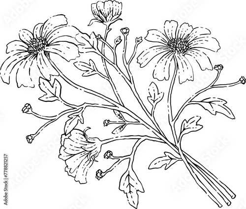 Wild flower branch hand drawn illustration.