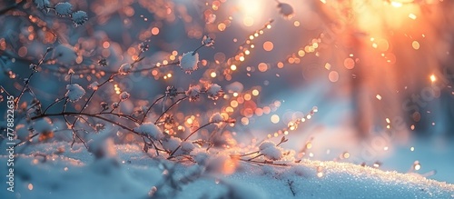 Bokeh Light Blur Sunset A Magical Winter Landscape Glowing with Ethereal Grace