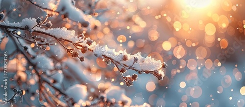Bokeh Light Blur Sunset Casting Spell over SnowCovered Branches A Magical Winter Scene