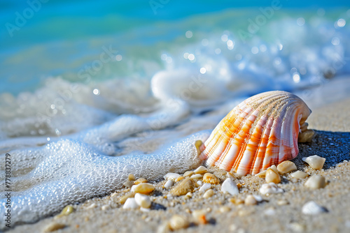 Shell and foam from the waves on the beach sand, Abstract composition