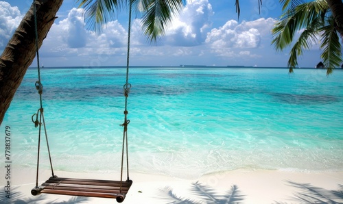 A swing hanging from the palm trees on the beach