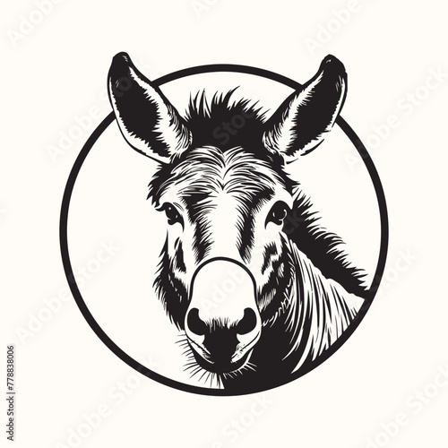 Donkey  Laughing  Mule  Humor  Illustration