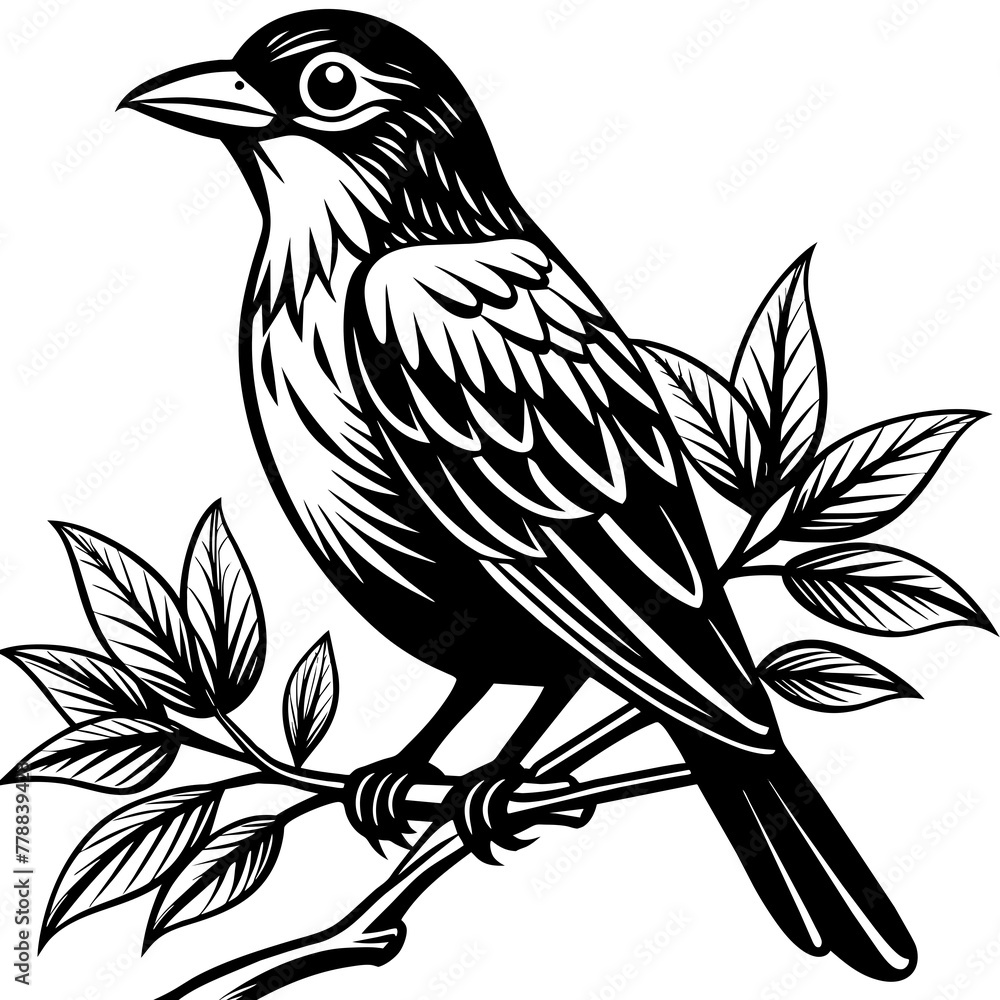 Bird on a branch vector illustration. Bird on a branch vector illustration.