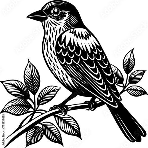 Wallpaper Mural Bird on a branch vector illustration. Torontodigital.ca