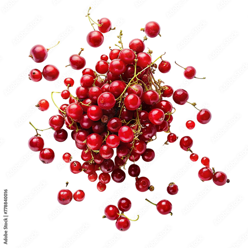 Red currant falling isolated on transparent background. Red currant falling isolated on transparent background.