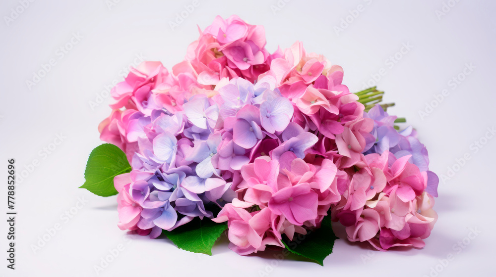 A lush bouquet of pink and blue hydrangeas against a white background, perfect for spring themes, gardening content, or floral arrangements.
