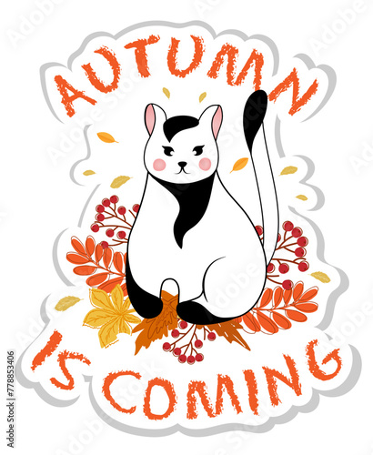 Sticker with black and white cute little cat is sitting with autumn leaves. Autumn is coming.