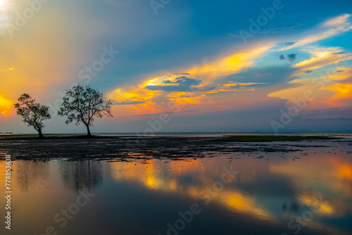 Morning sea sky reflection © saksuvan