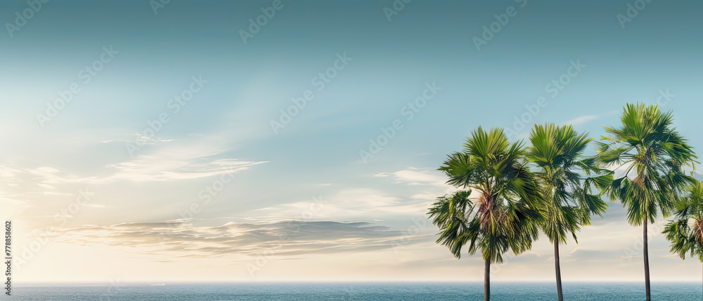 Three palm trees with ocean backdrop under cloudy evening sky. Summer banner with copy space for text