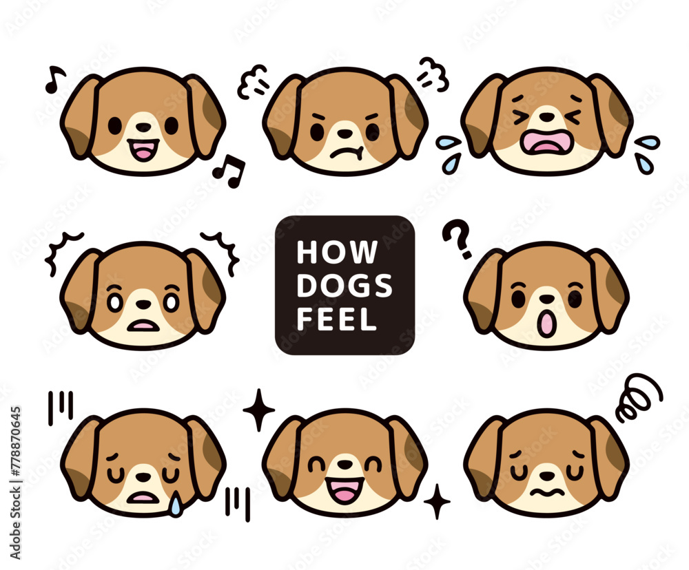 Cute Beagle character expression illustration set Cute Beagle character expression illustration set